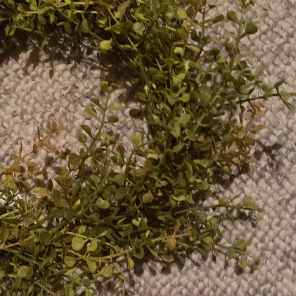 Green Eucalyptus Holiday Wreath